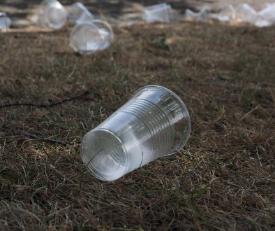 sta-otpad-podrazumeva